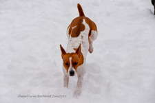 Enlarge photo 296
