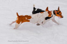 Enlarge photo 293