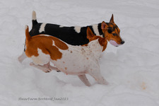 Enlarge photo 292
