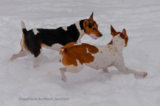 Enlarge photo 290