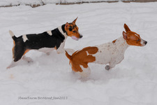 Enlarge photo 289