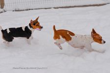 Enlarge photo 287