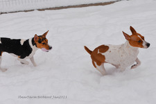 Enlarge photo 288