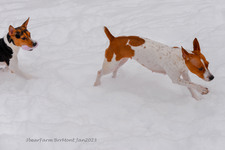 Enlarge photo 286