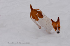 Enlarge photo 285