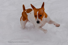 Enlarge photo 284