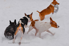 Enlarge photo 283
