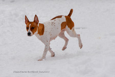 Enlarge photo 282
