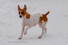 Enlarge photo 281