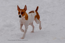 Enlarge photo 280