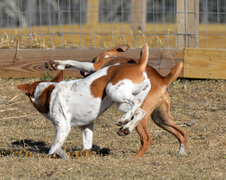 Enlarge photo 133