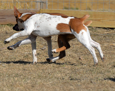 Enlarge photo 132