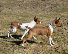 Enlarge photo 152