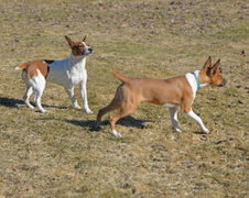 Enlarge photo 149