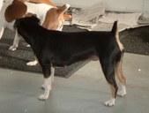 Enlarge photo 25