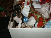 Enlarge photo 7