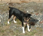 Enlarge photo 29