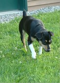 Enlarge photo 14