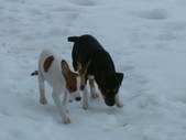 Enlarge photo 4