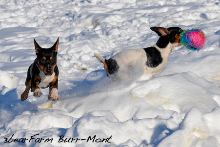 Enlarge photo 28