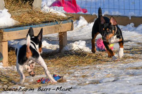 Enlarge photo 23