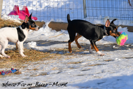 Enlarge photo 21