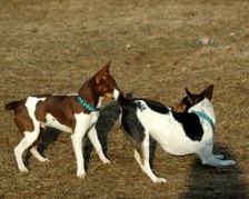 Enlarge photo 24