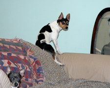 Enlarge photo 54