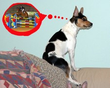 Enlarge photo 53