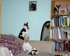 Enlarge photo 56