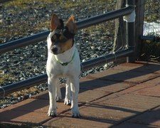 Enlarge photo 57