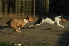 Enlarge photo 40