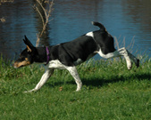 Enlarge photo 10