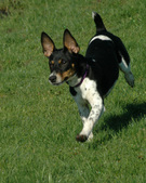 Enlarge photo 9