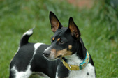 Nadia (living in home in VT)