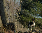 Enlarge photo 15