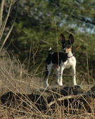Enlarge photo 14
