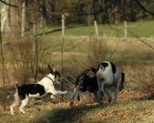 Enlarge photo 24