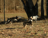 Enlarge photo 21