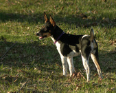 Enlarge photo 19