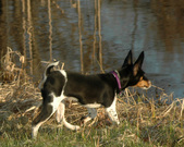 Enlarge photo 18