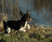 Enlarge photo 17