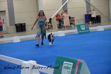 Enlarge photo 73
