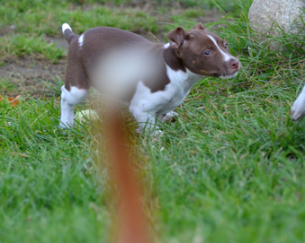 Enlarge photo 10