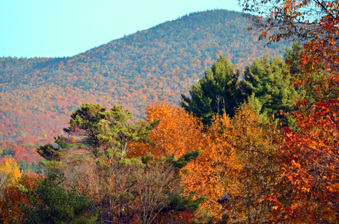 Enlarge photo 241