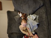 Enlarge photo 2