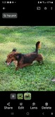 Enlarge photo 2