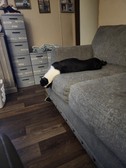 Enlarge photo 4