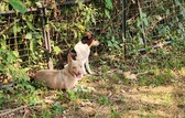 Enlarge photo 6