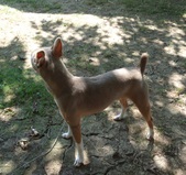 Enlarge photo 5